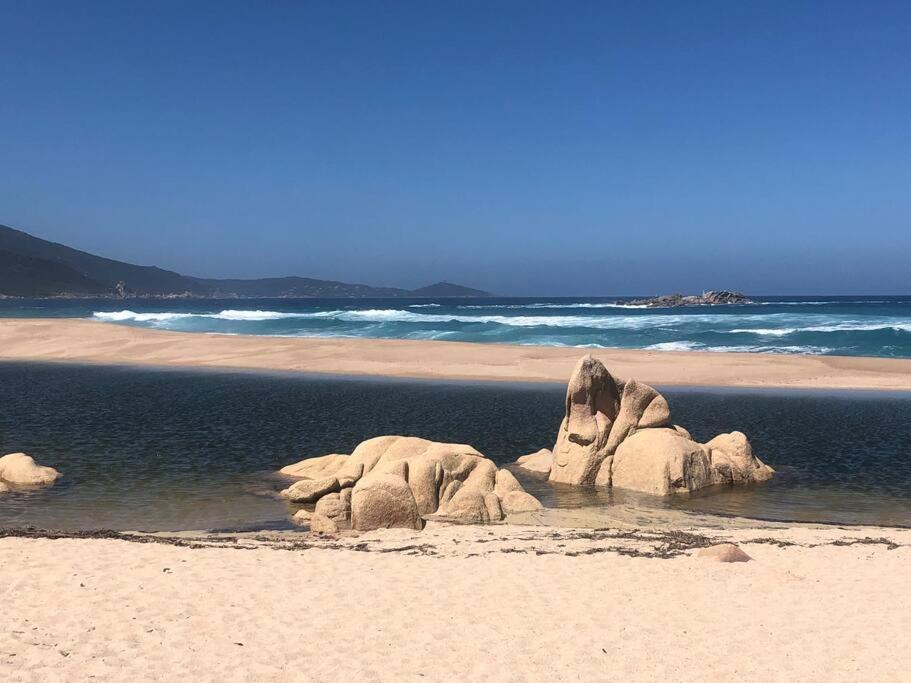 Appartement T2 Avec Piscine Aux Portes De La Plage De Cupabia Serra di Ferro Esterno foto