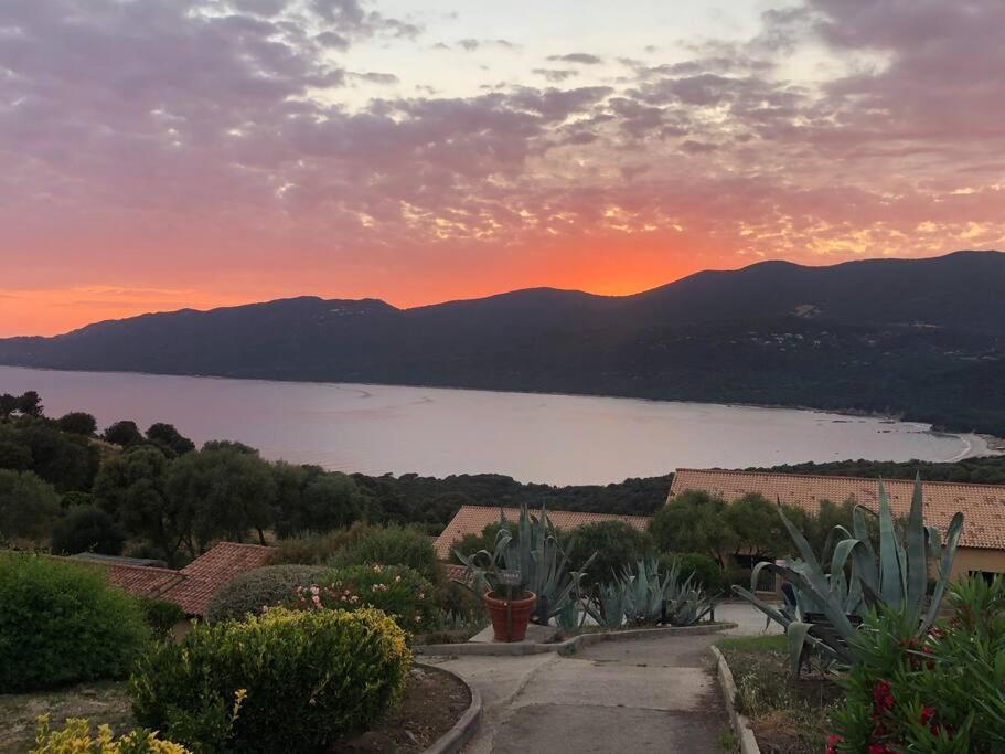 Appartement T2 Avec Piscine Aux Portes De La Plage De Cupabia Serra di Ferro Esterno foto