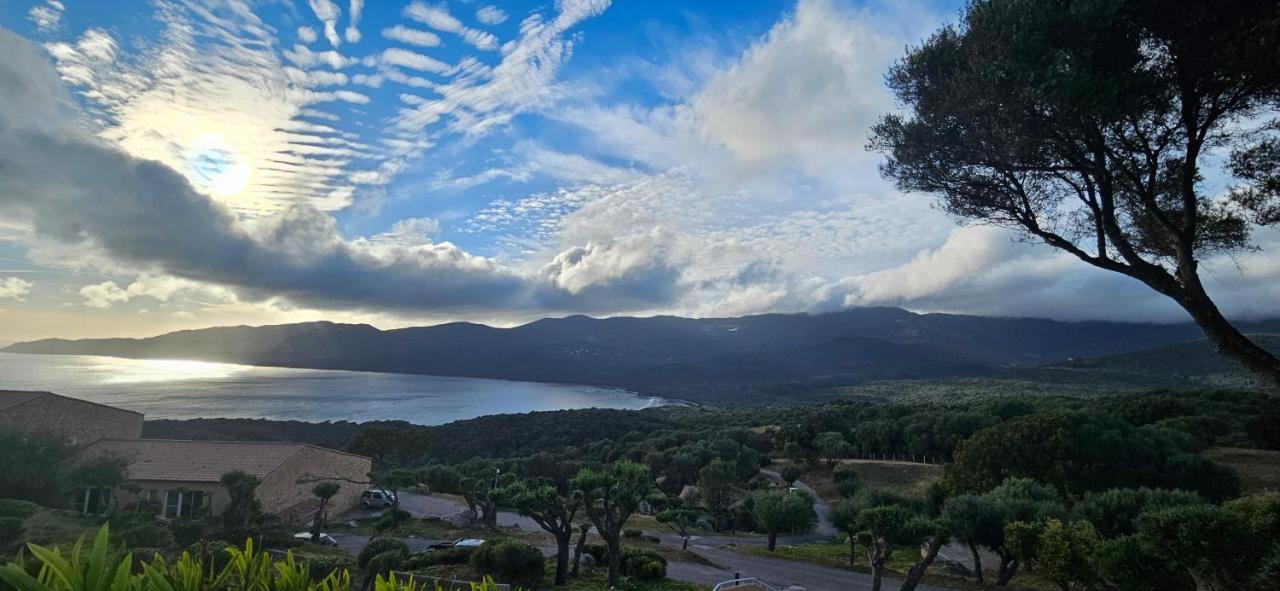 Appartement T2 Avec Piscine Aux Portes De La Plage De Cupabia Serra di Ferro Esterno foto